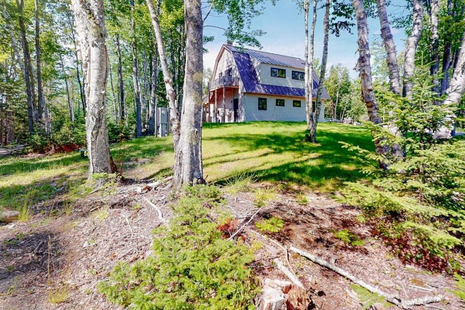 Property building, Spring, Day, Garden