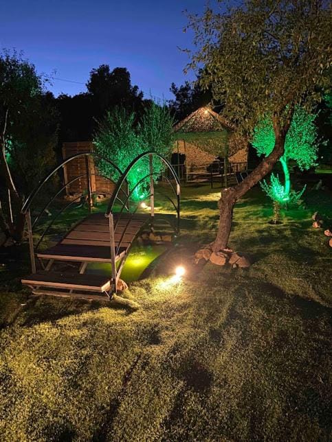 Night, Garden, Garden view