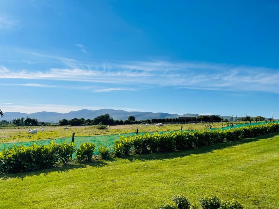 Natural landscape, Garden, Garden view, Mountain view, Mountain view