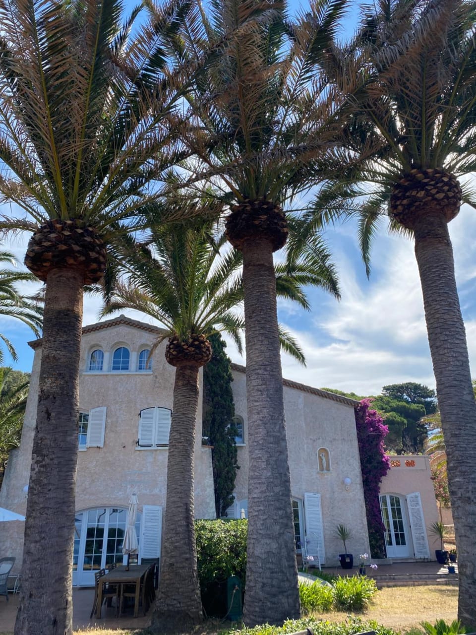 Villa les Palmiers Bed and Breakfast in Corsica
