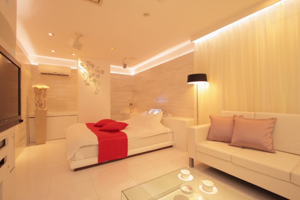Bed, TV and multimedia, Living room, Photo of the whole room, Bedroom, air conditioner
