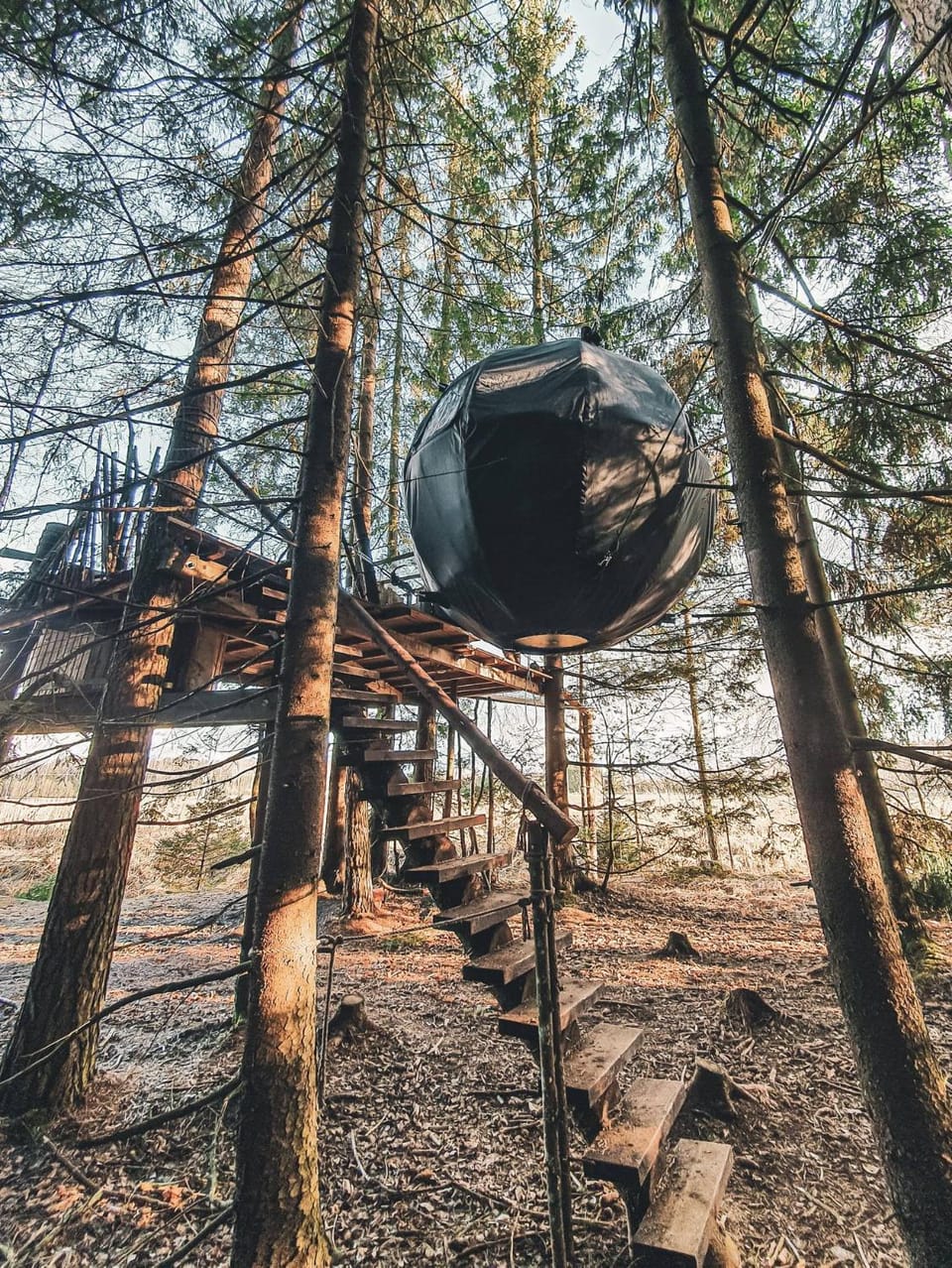 Natural landscape