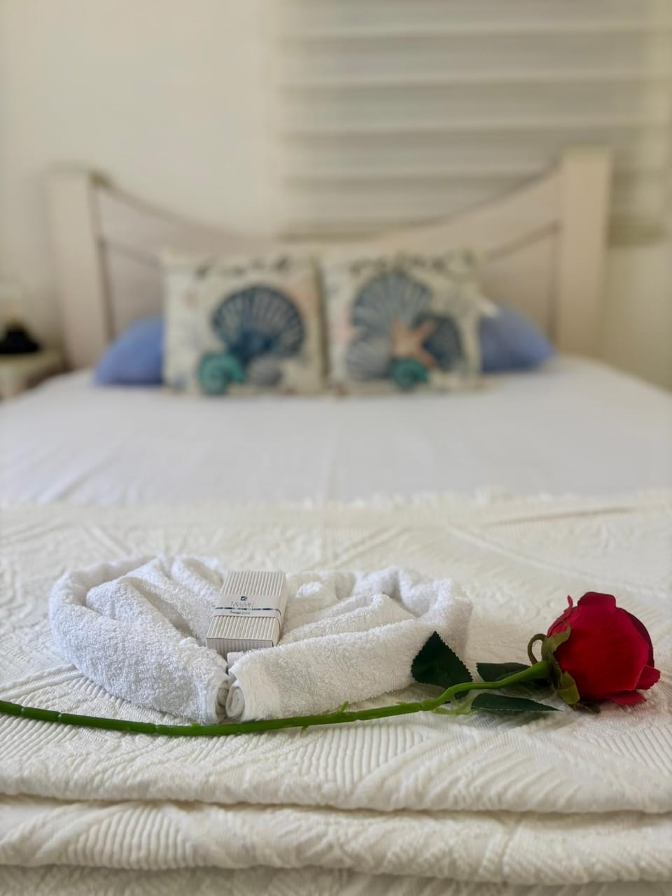 Beachfront Studio, fully equipped Apartment in Netanya