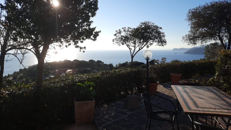 Garden, Garden view