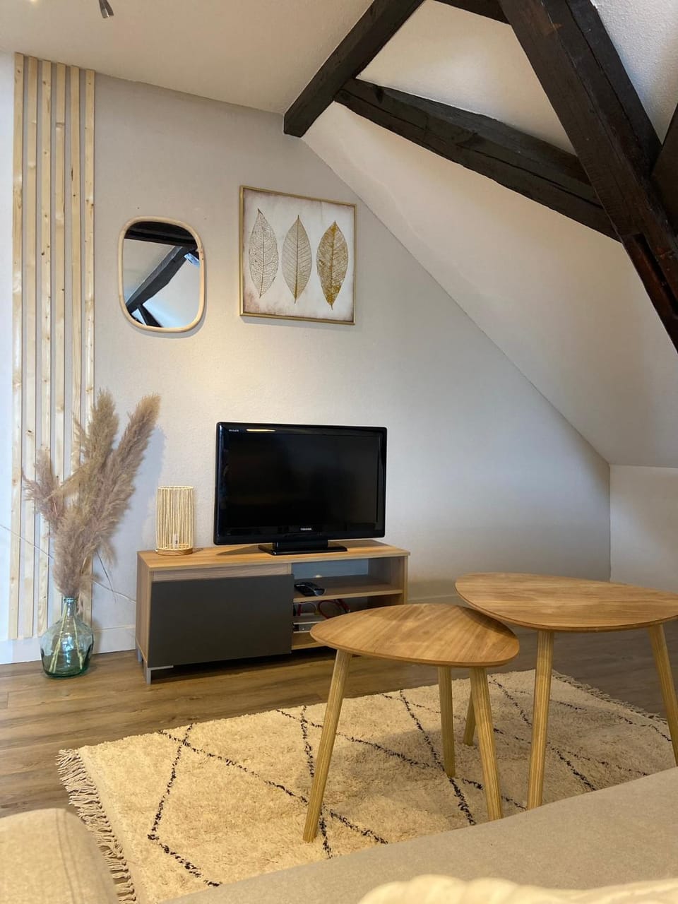 TV and multimedia, Living room