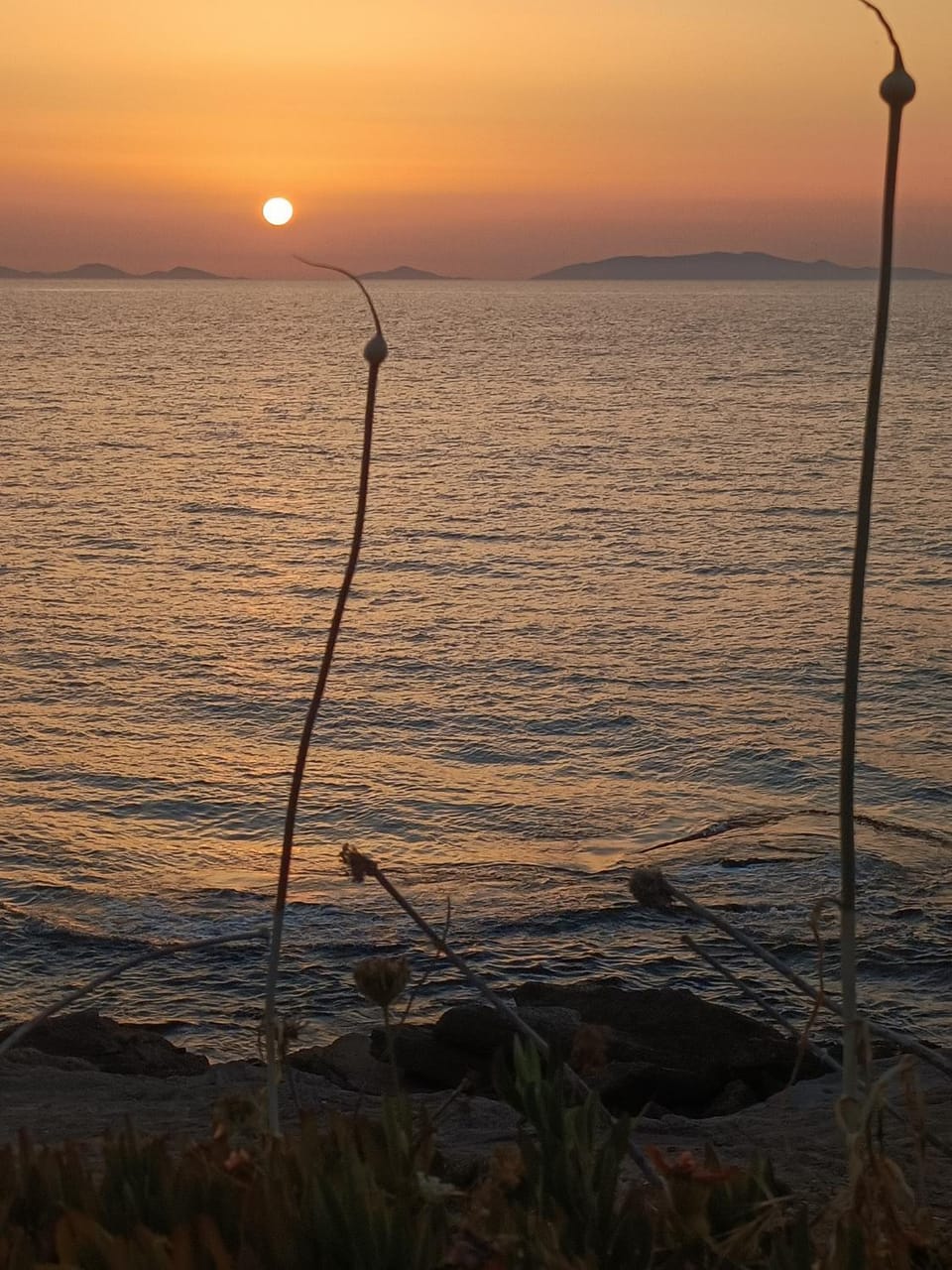 Sea view