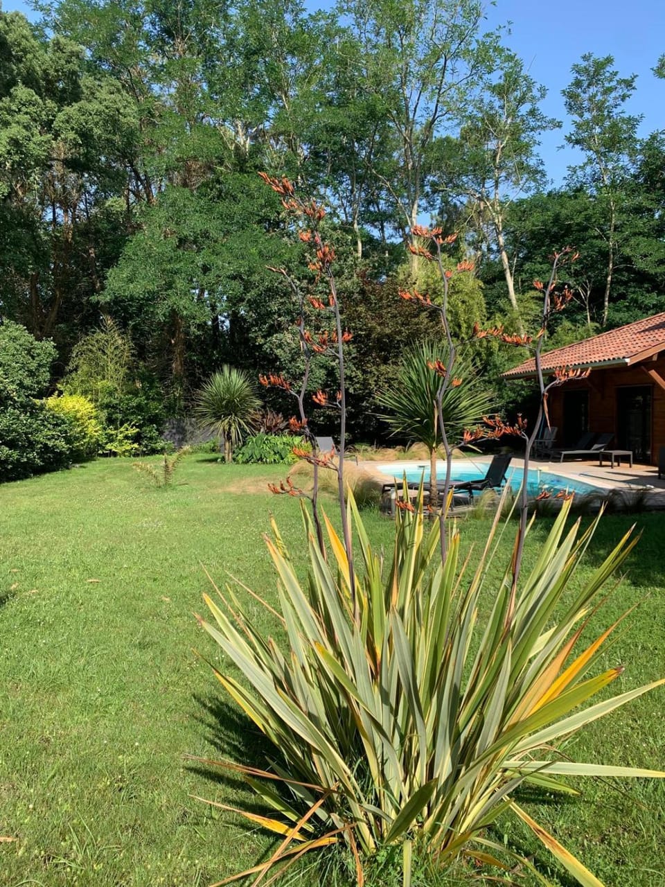 Day, Natural landscape, Garden, Garden, Garden view, Pool view, Swimming pool