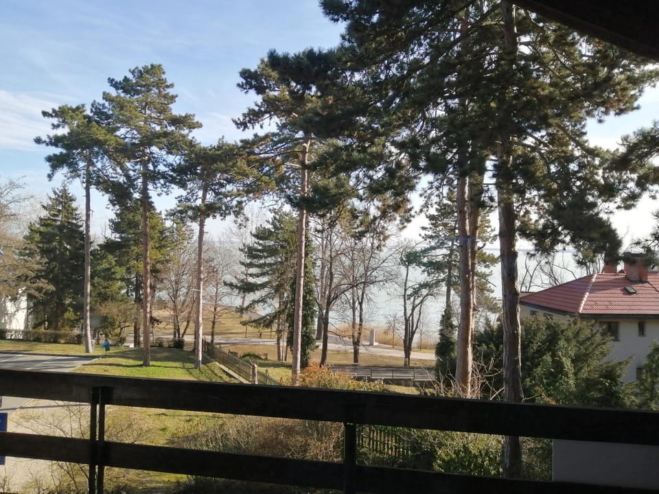 Lake view