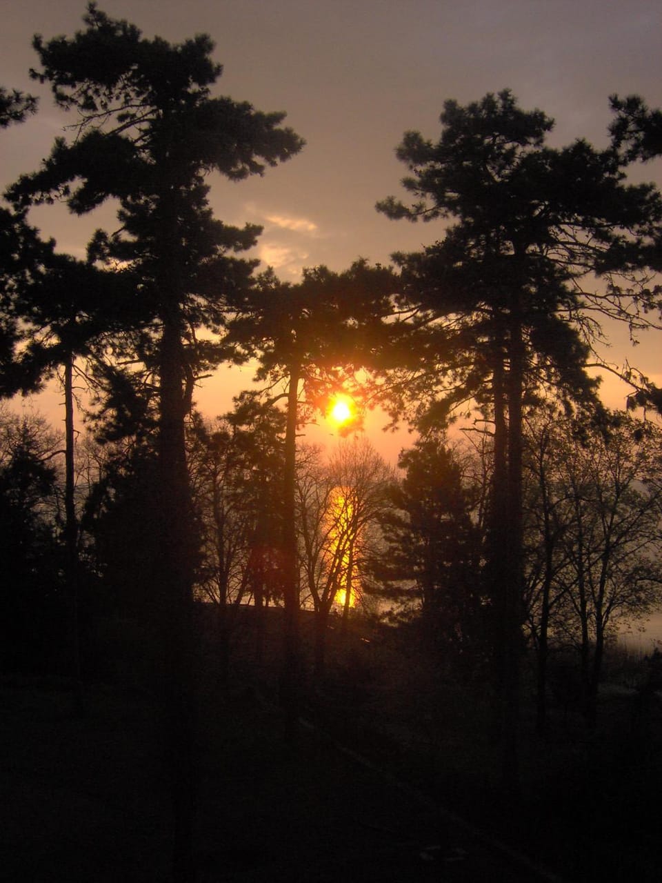Lake view