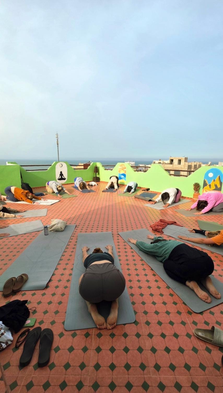 Activities, Sea view, Sports, group of guests, sunbed