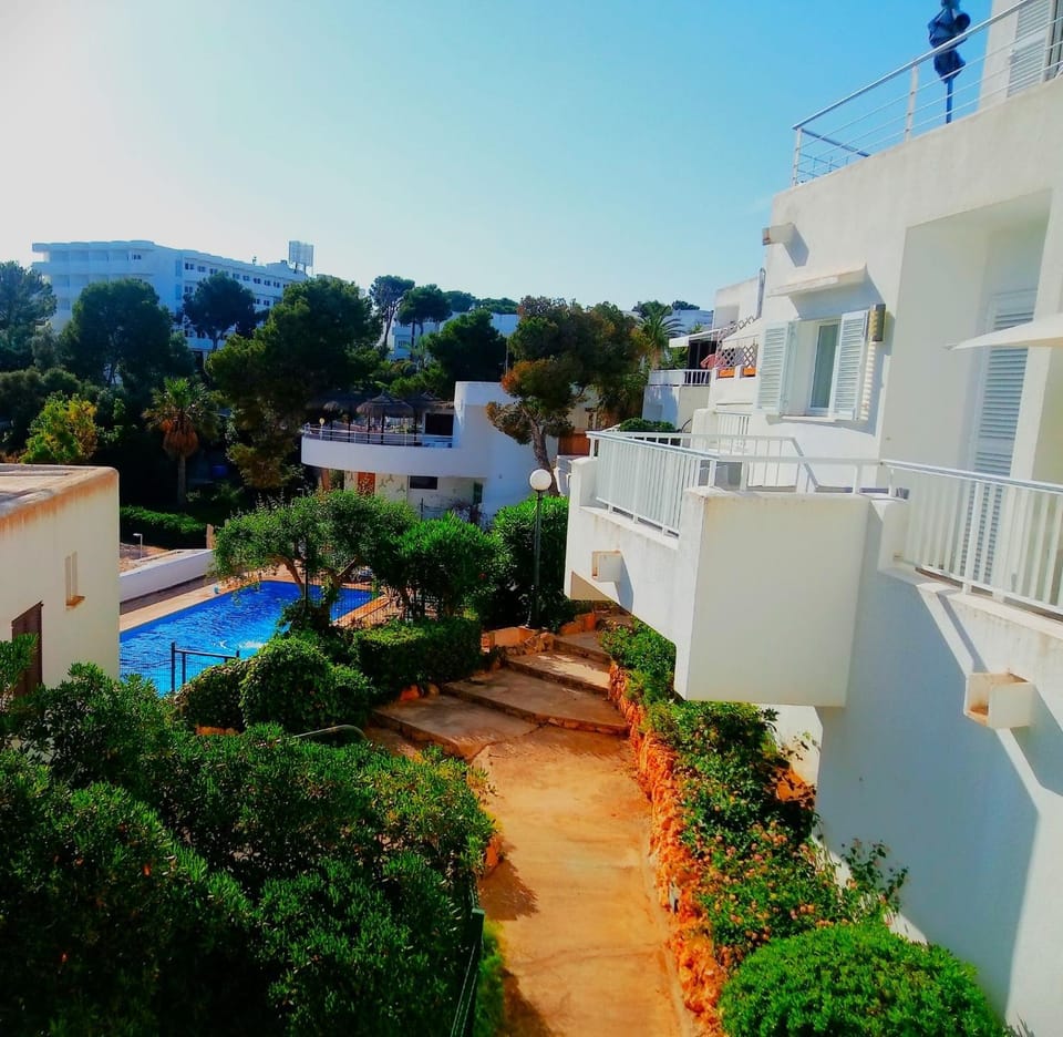 Pool view, Swimming pool