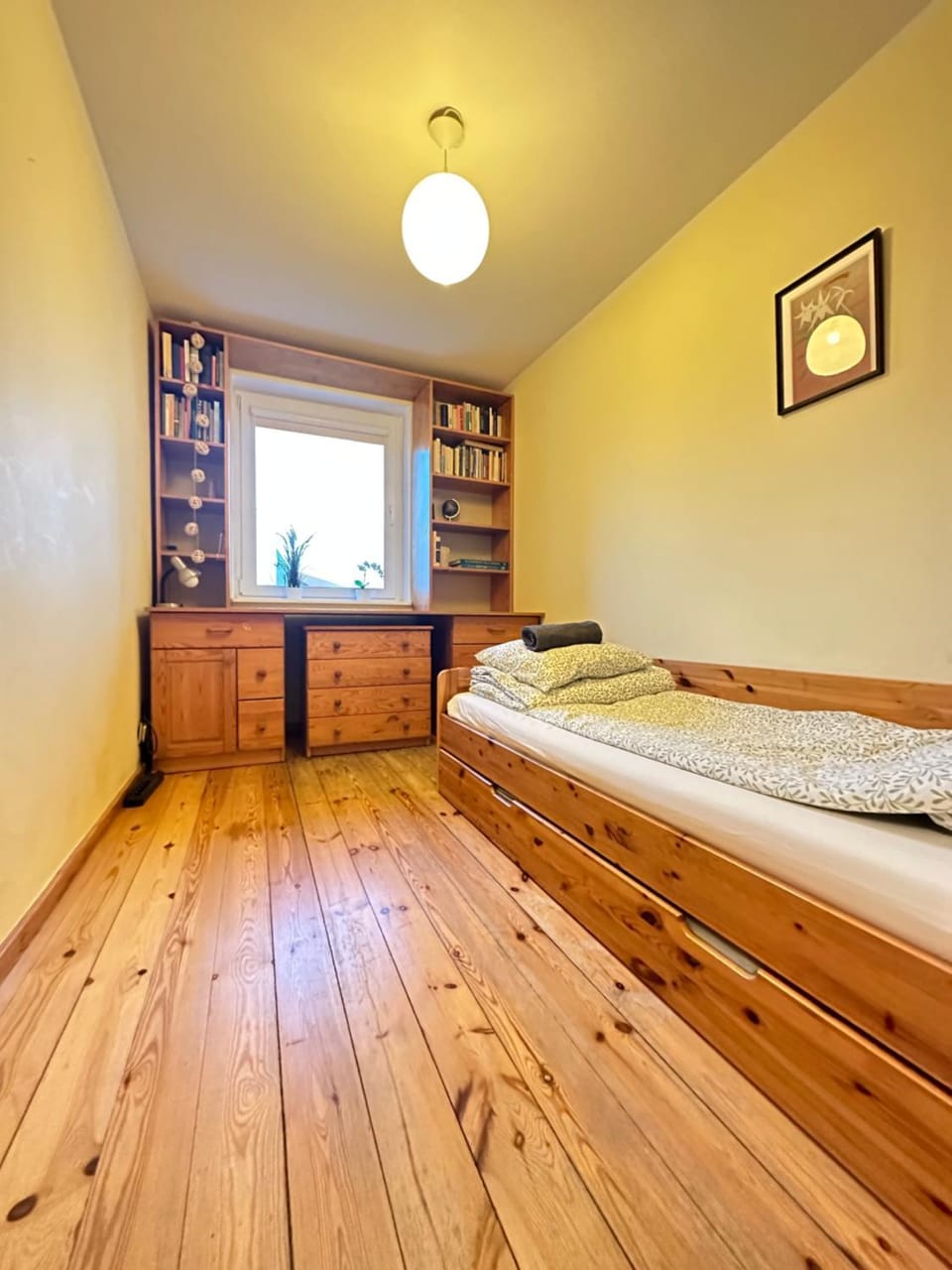 Bed, Library, Photo of the whole room, Bedroom