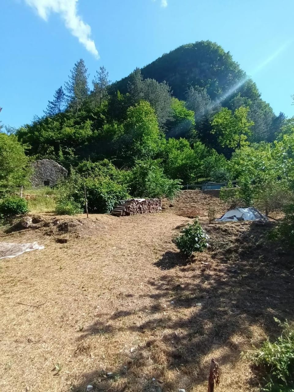 Mountain view