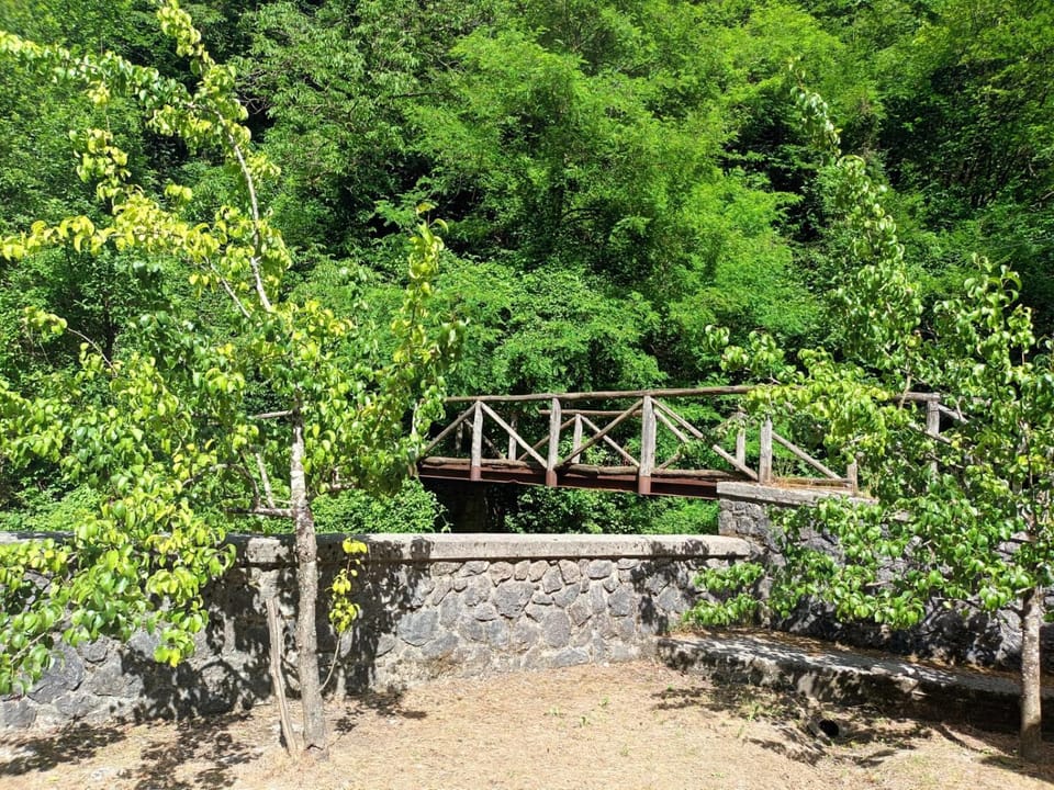 Inner courtyard view
