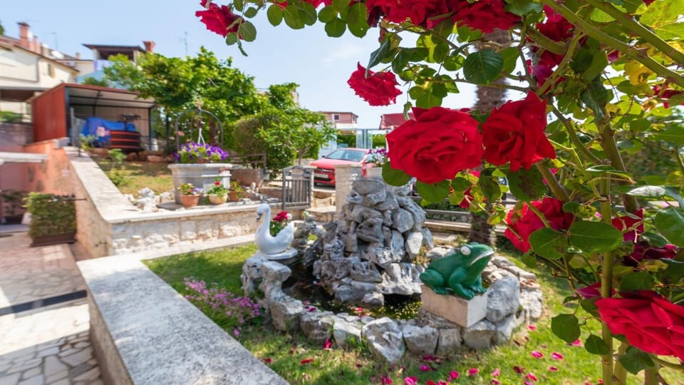 Apartments Janko Vrsar Bed and Breakfast in Istria County