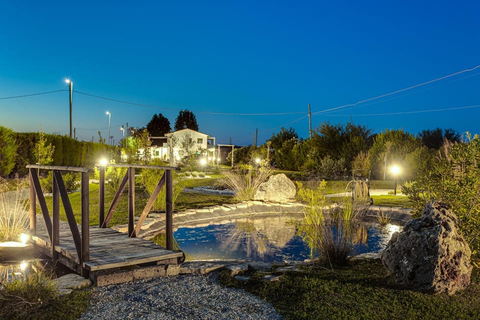 Property building, Night, Natural landscape, Garden, Garden view