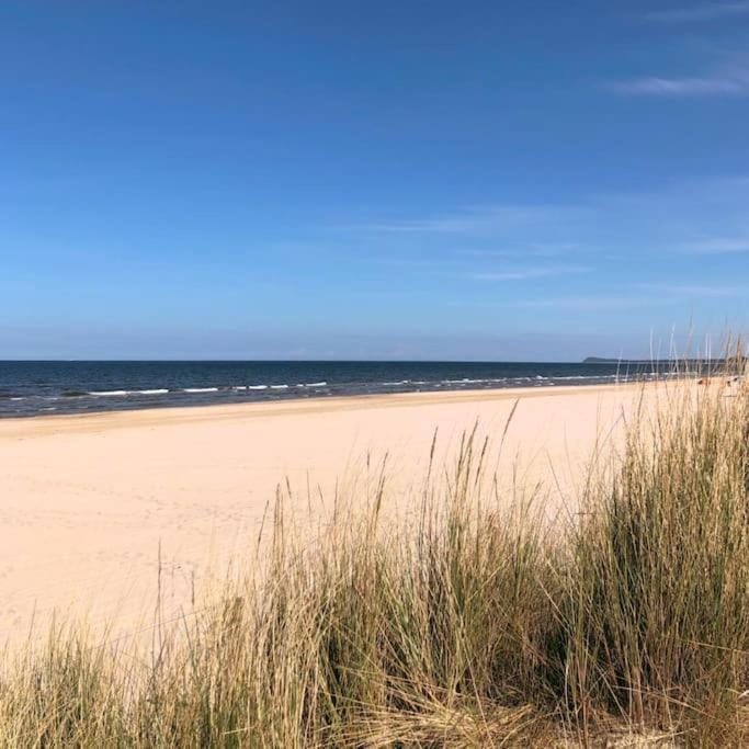 Bungalow im Kiefernwald direkt an der Ostsee (c) House in Mecklenburg-Vorpommern, Germany