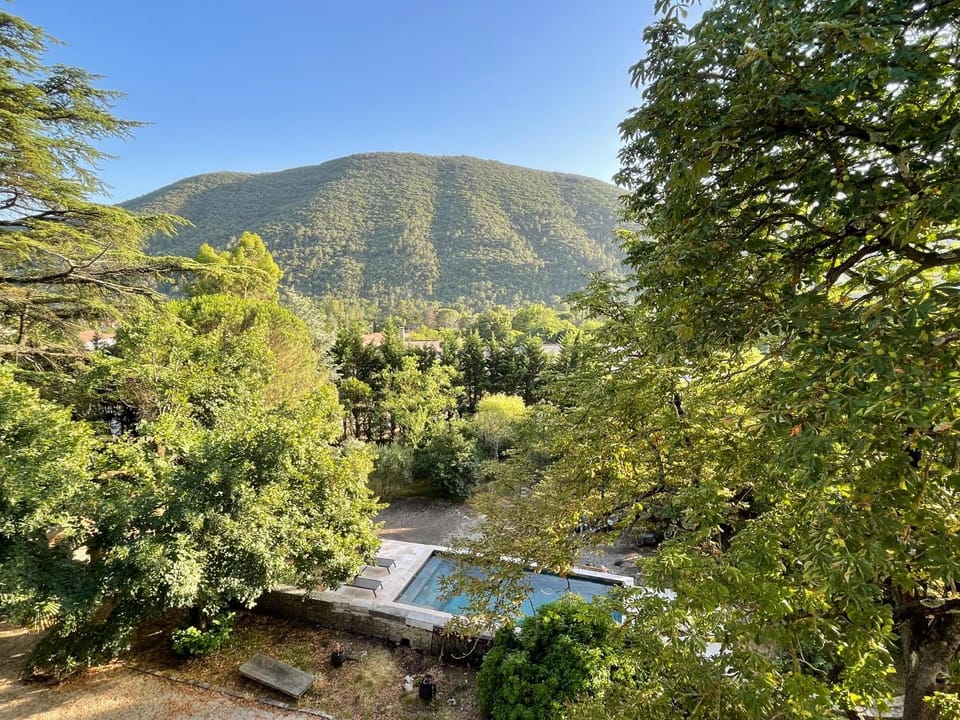 Garden view