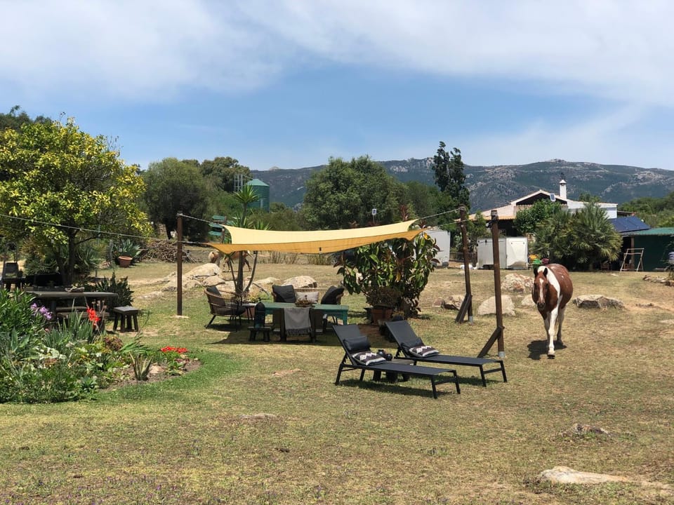 Eco Spirit Luxury tent in Costa de la Luz