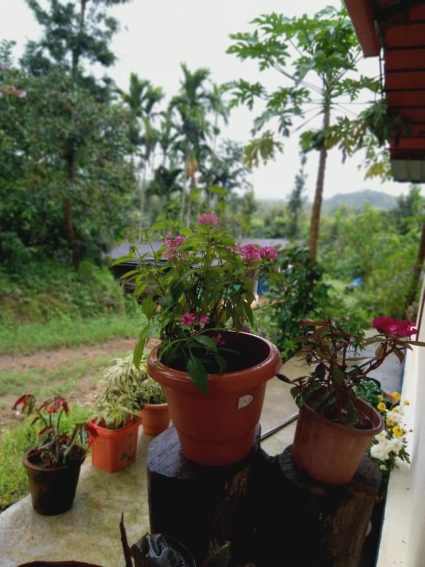 Dreamwood FarmStay Vacation rental in Karnataka
