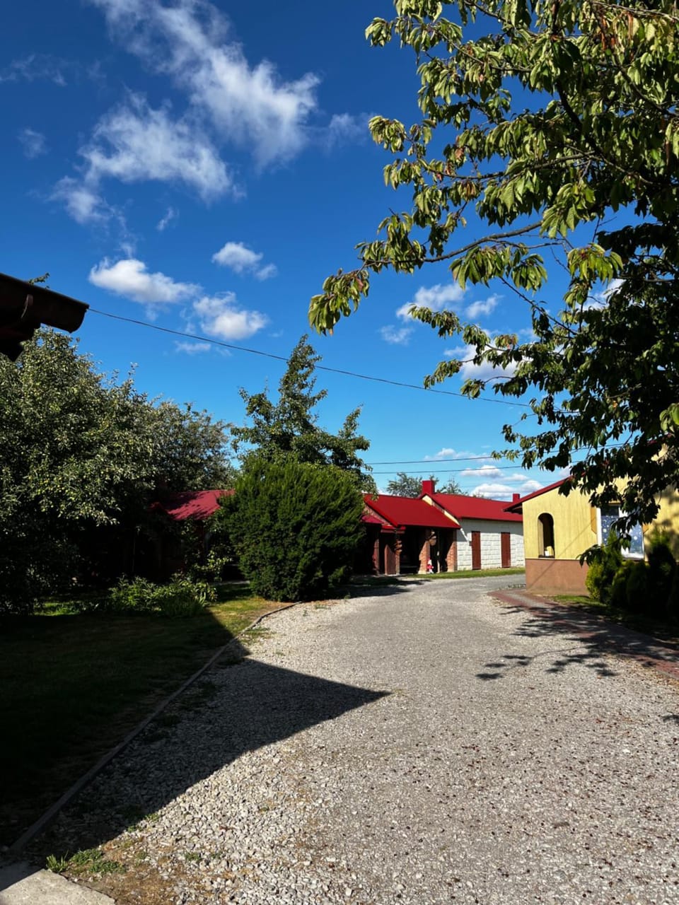 Day, Garden view