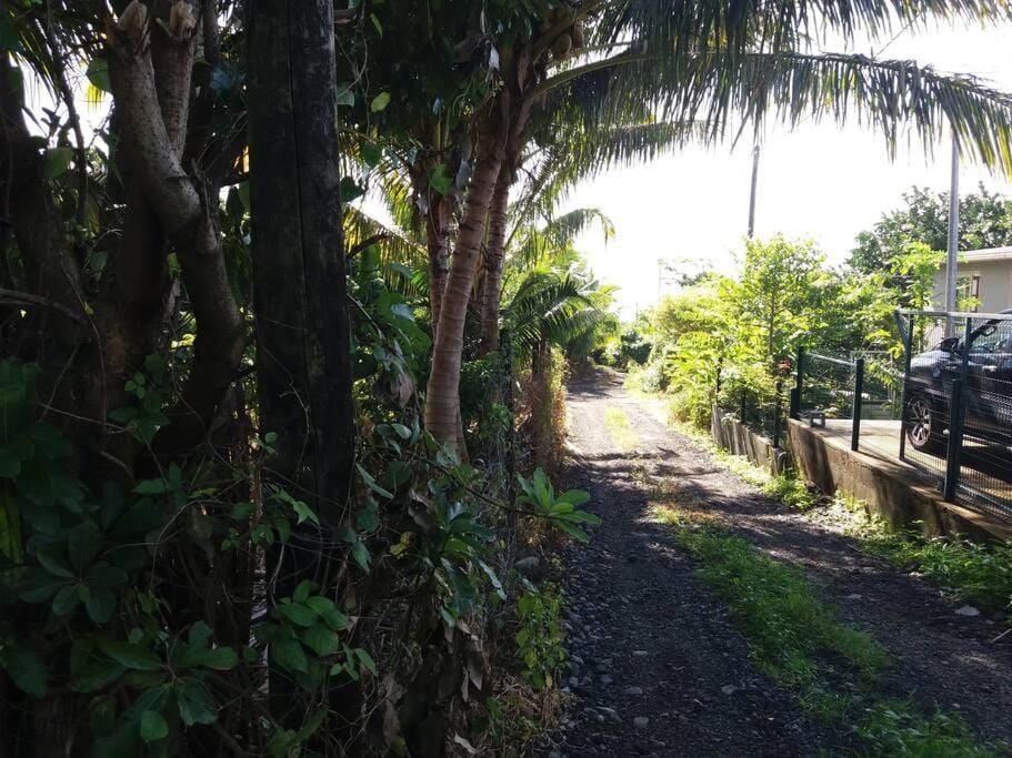 Location saisonnière Le Clos des Agrumes House in Réunion