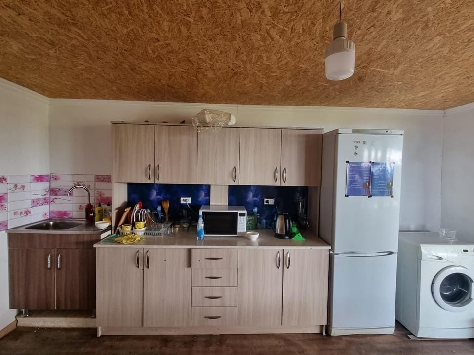 Kitchen or kitchenette, minibar, stove, washing machine