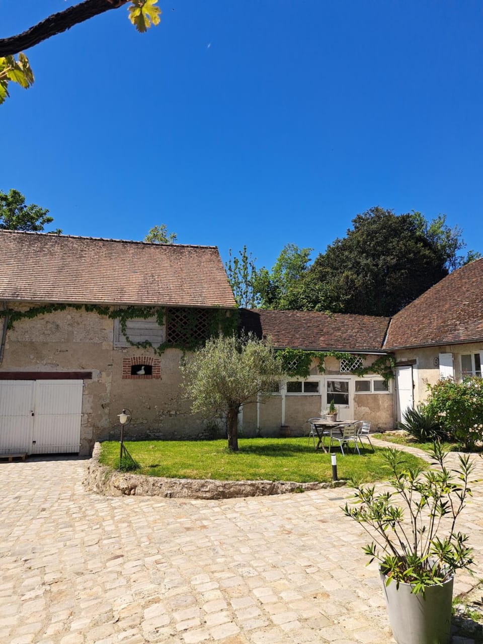 Garden view