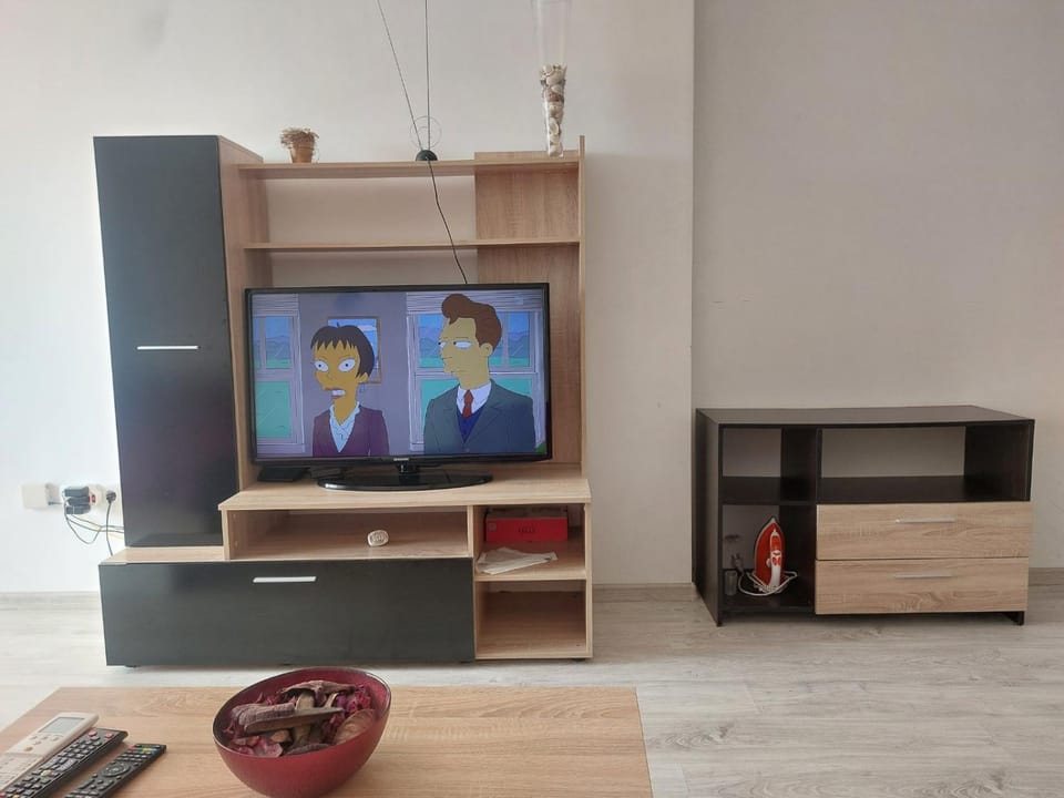 TV and multimedia