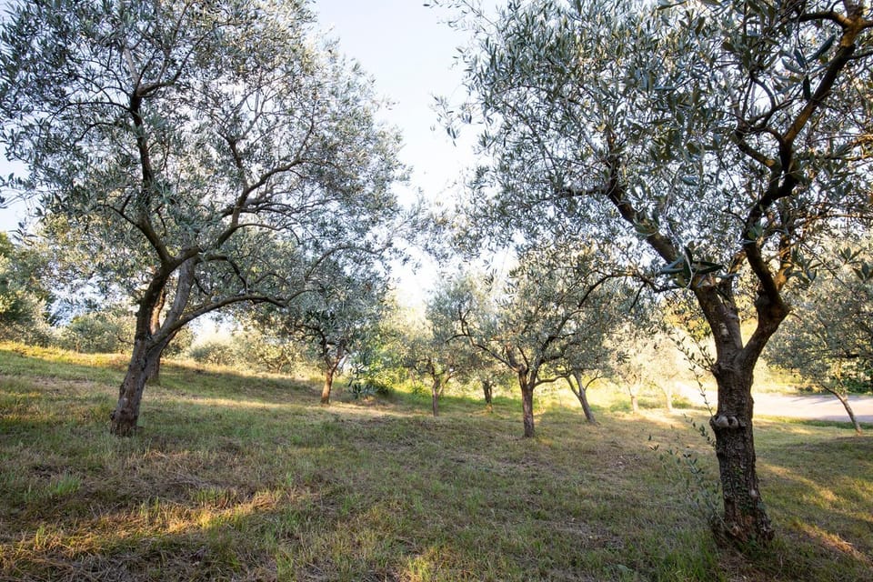 Agriturismo ValBarè Farm Stay in Friuli-Venezia Giulia