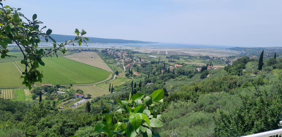 Day, Natural landscape