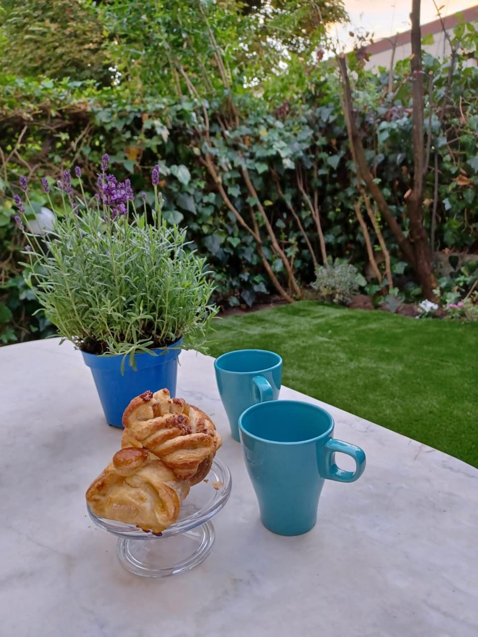 Patio, Breakfast