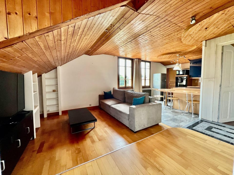 La Branche du Cerisier Apartment in Annecy