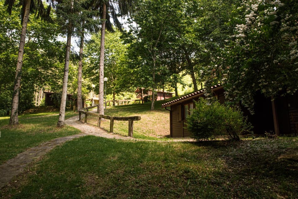 Off site, Natural landscape, Garden, Garden, Garden view, Garden view