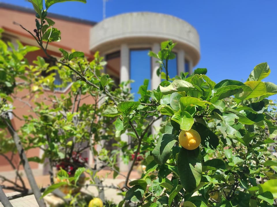 Villa Emilia Apartment in Sicily
