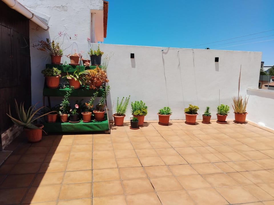 Casa Lourdes Apartment in Orotava Valley