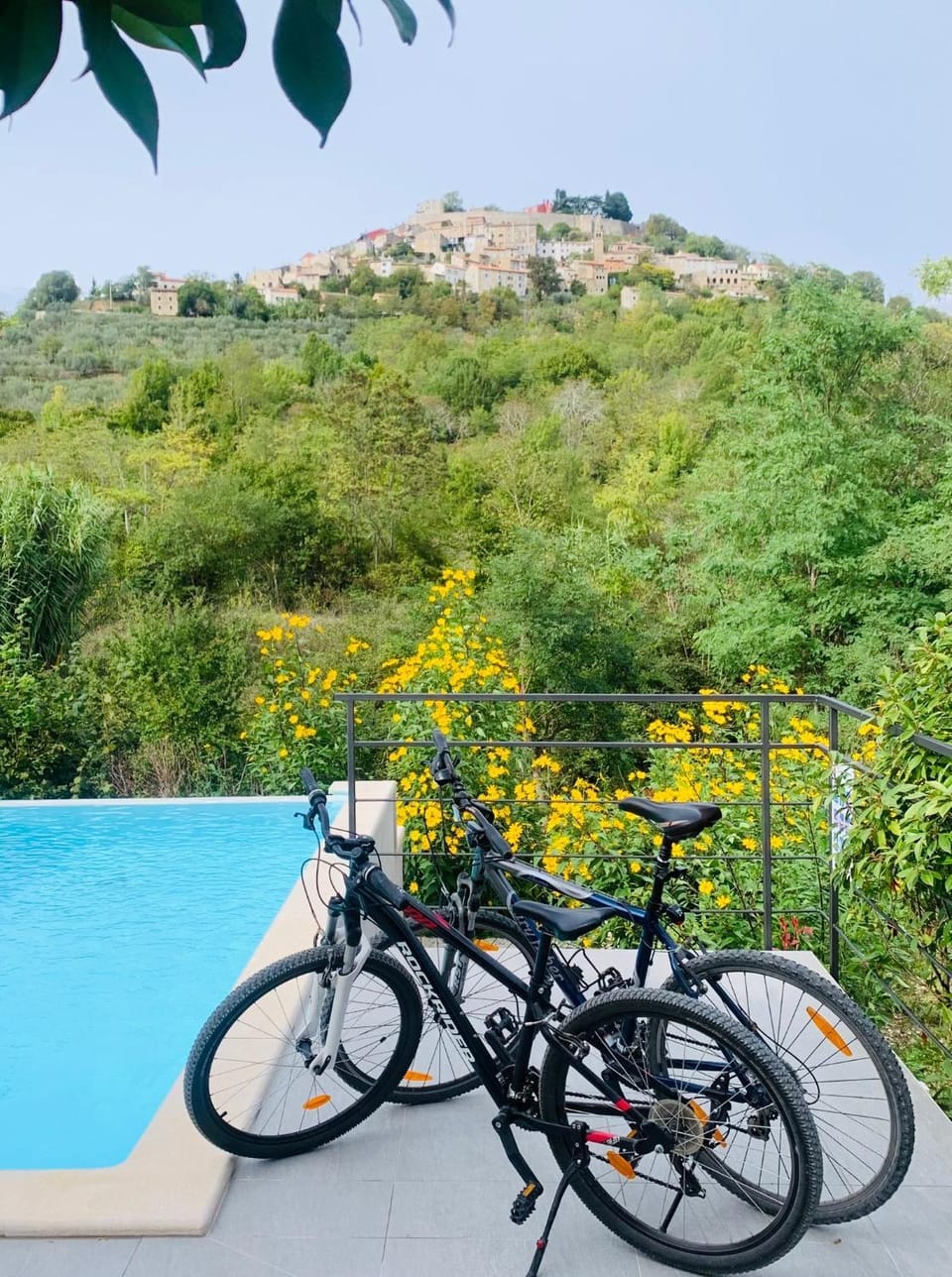 Cycling, Pool view, Swimming pool