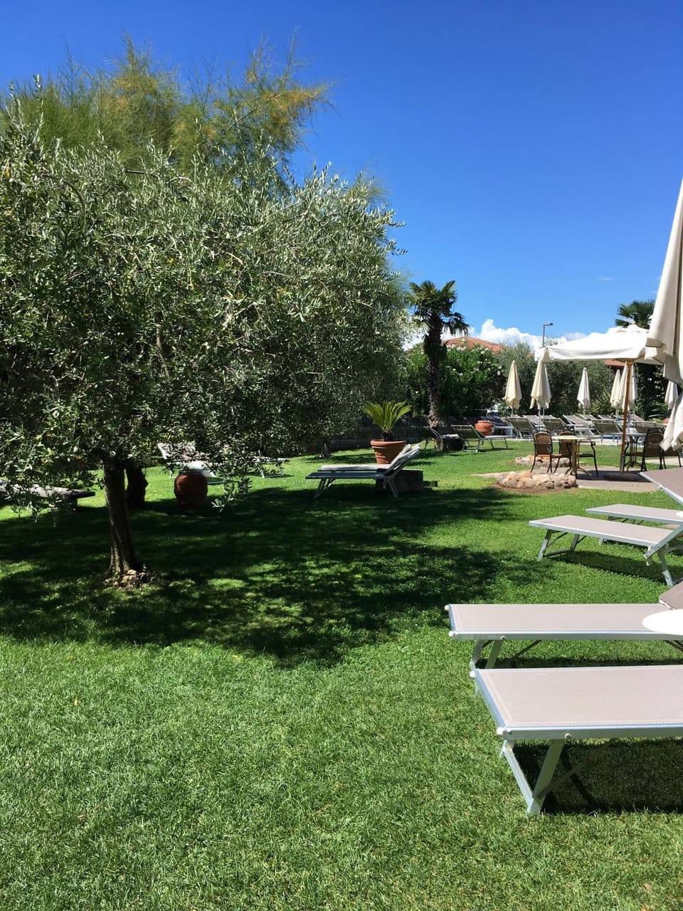 Day, Natural landscape, Garden, Garden view, sunbed