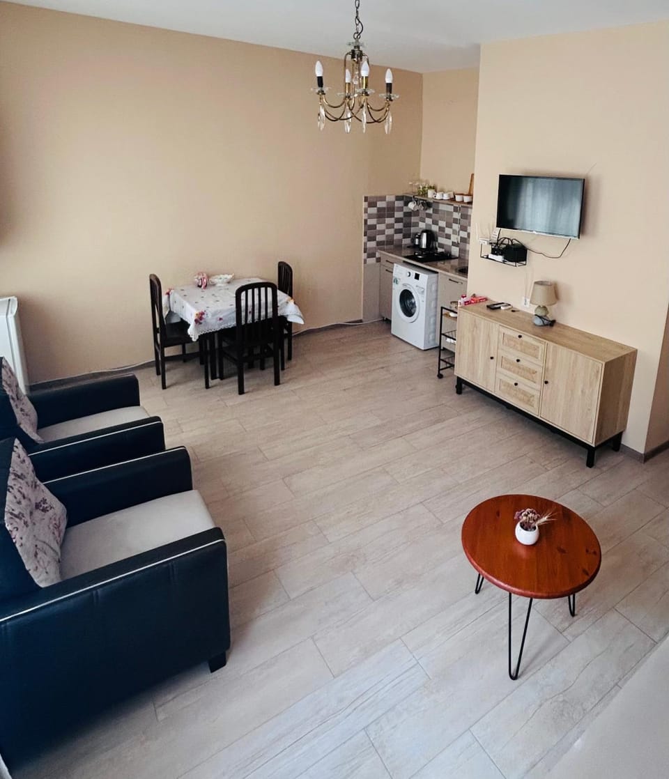 Apartment near Tskaltubo spa resort Apartment in Georgia