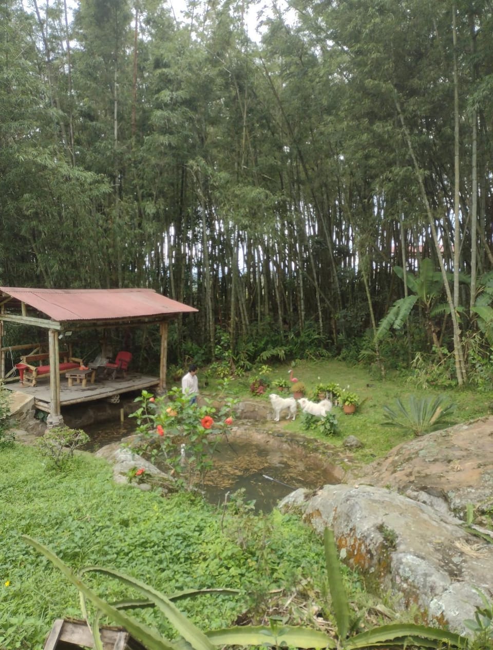 Finca Santa Marta, descanso y naturaleza en Albán Cundinamarca House in Cundinamarca, Colombia
