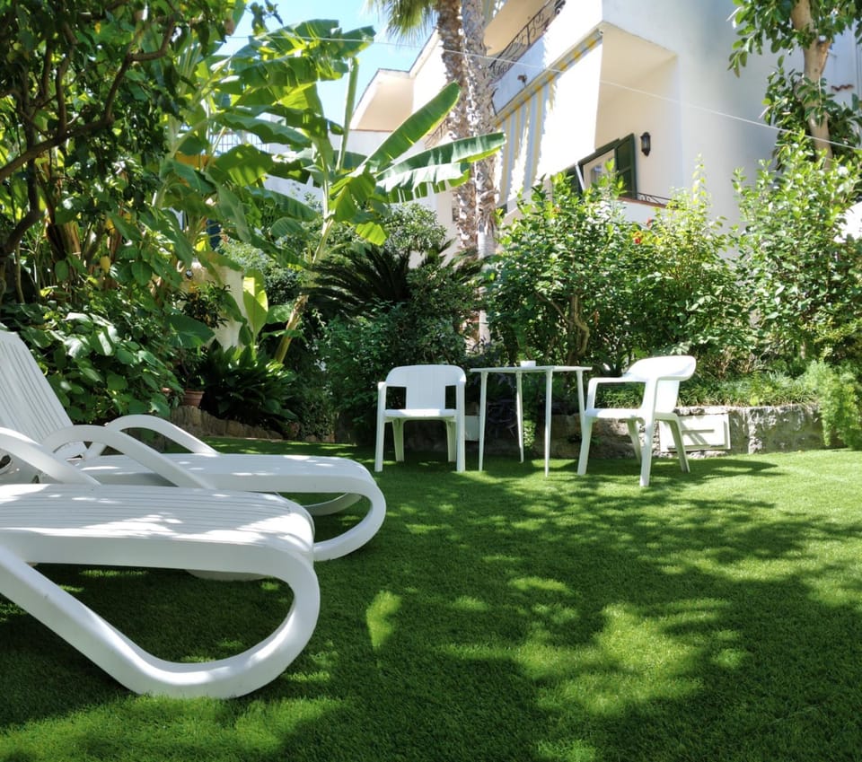 Garden, Garden view, sunbed