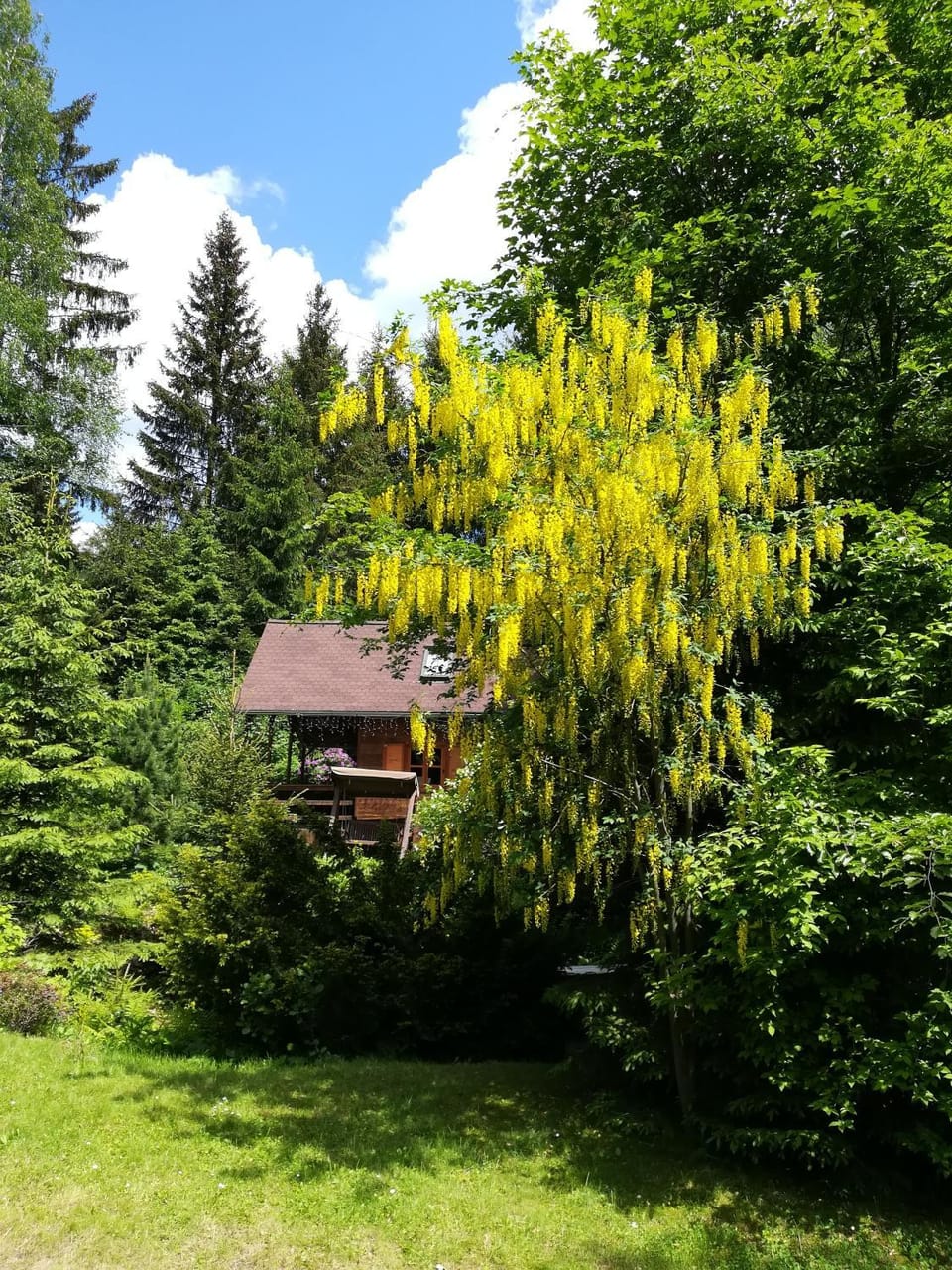 Chata Sport Vysočina Apartment in South Moravian Region
