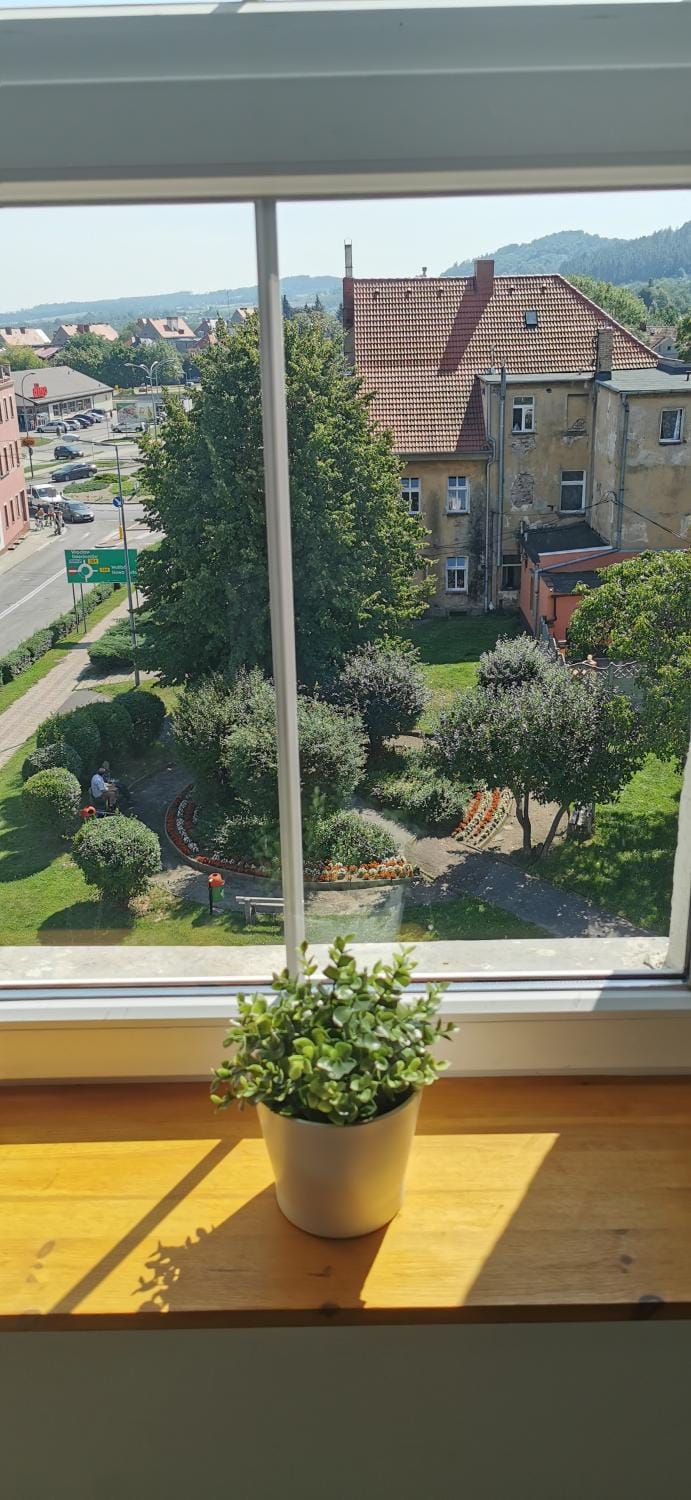 Day, View (from property/room), City view, Garden view, Street view