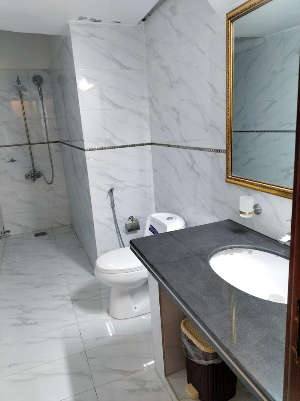 Shower, Toilet, Bathroom, bidet, towels