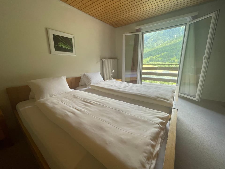Shower, Bed, Balcony/Terrace, Bedroom, Mountain view