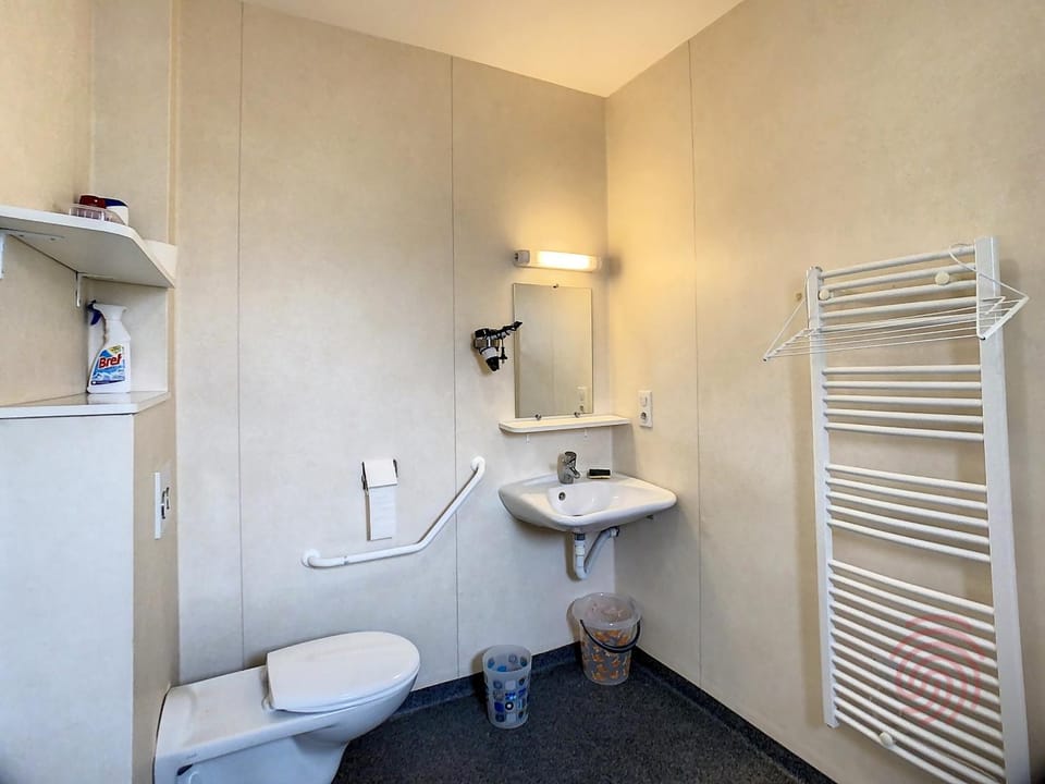 Charmant F2 climatisé avec terrasse, proche Thermes, parking privé, animaux acceptés - FR-1-451-163 Apartment in Occitanie