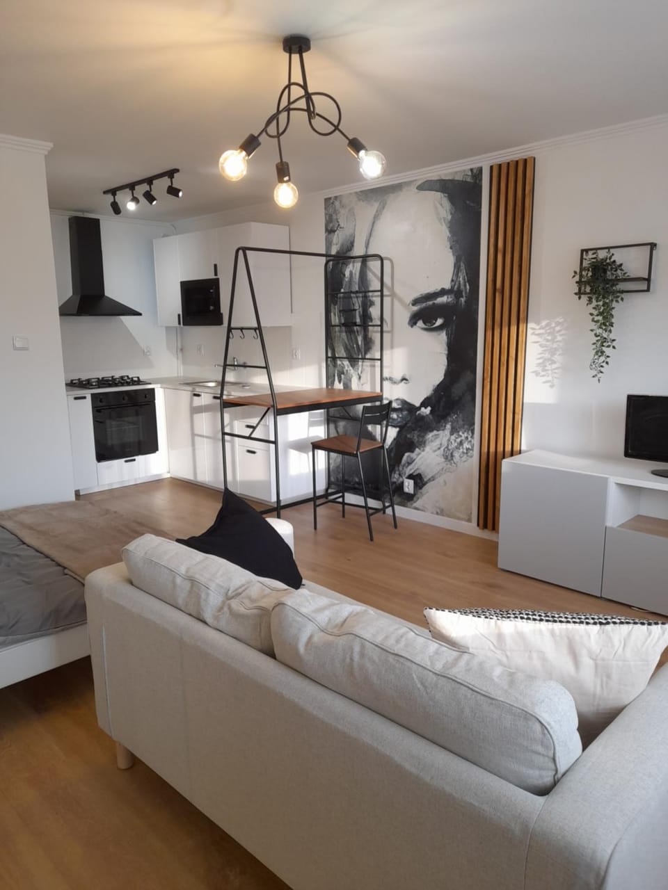 Communal lounge/ TV room, TV and multimedia, Kitchen or kitchenette, Living room, Seating area, Dining area, Evening entertainment