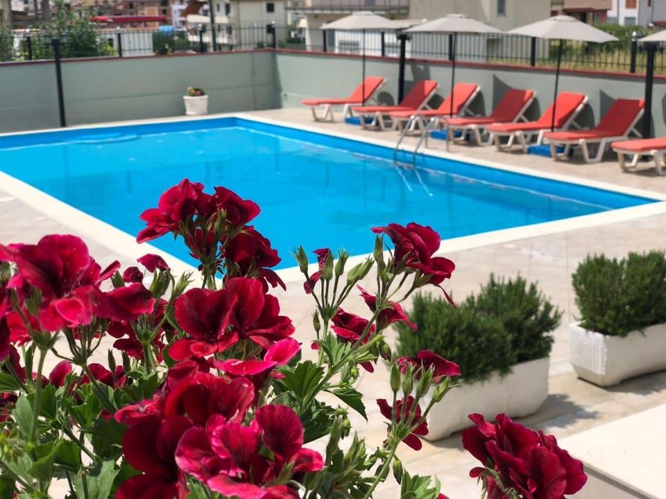 Pool view, Swimming pool