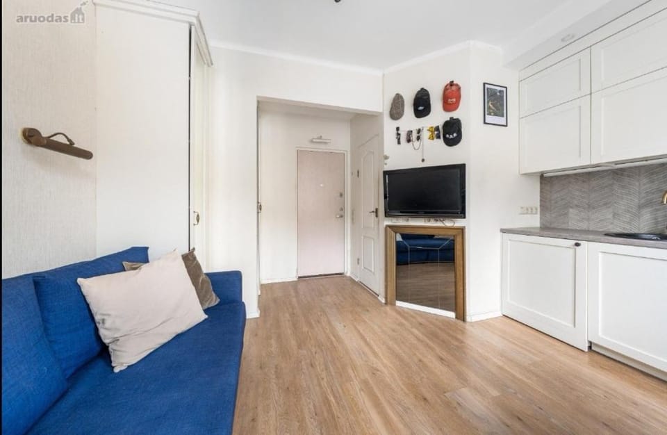 Vilnius Town Apartmen Apartment in Vilnius