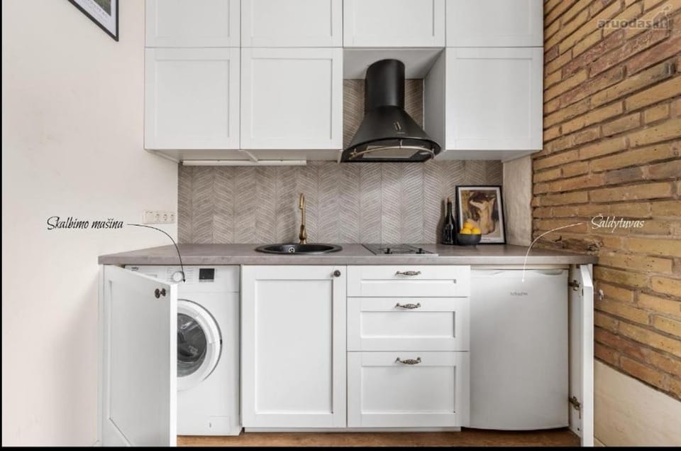 Vilnius Town Apartmen Apartment in Vilnius